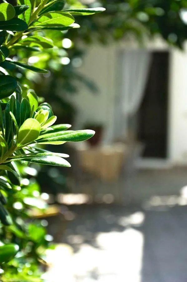 Guest house Green House Beach Hotel Mondello